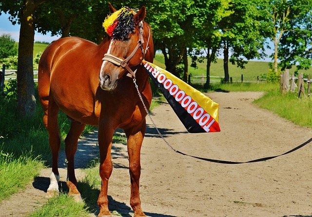 技术和视野 技术和视野