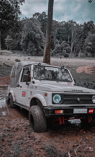 赛出乎意料 赛出乎意料