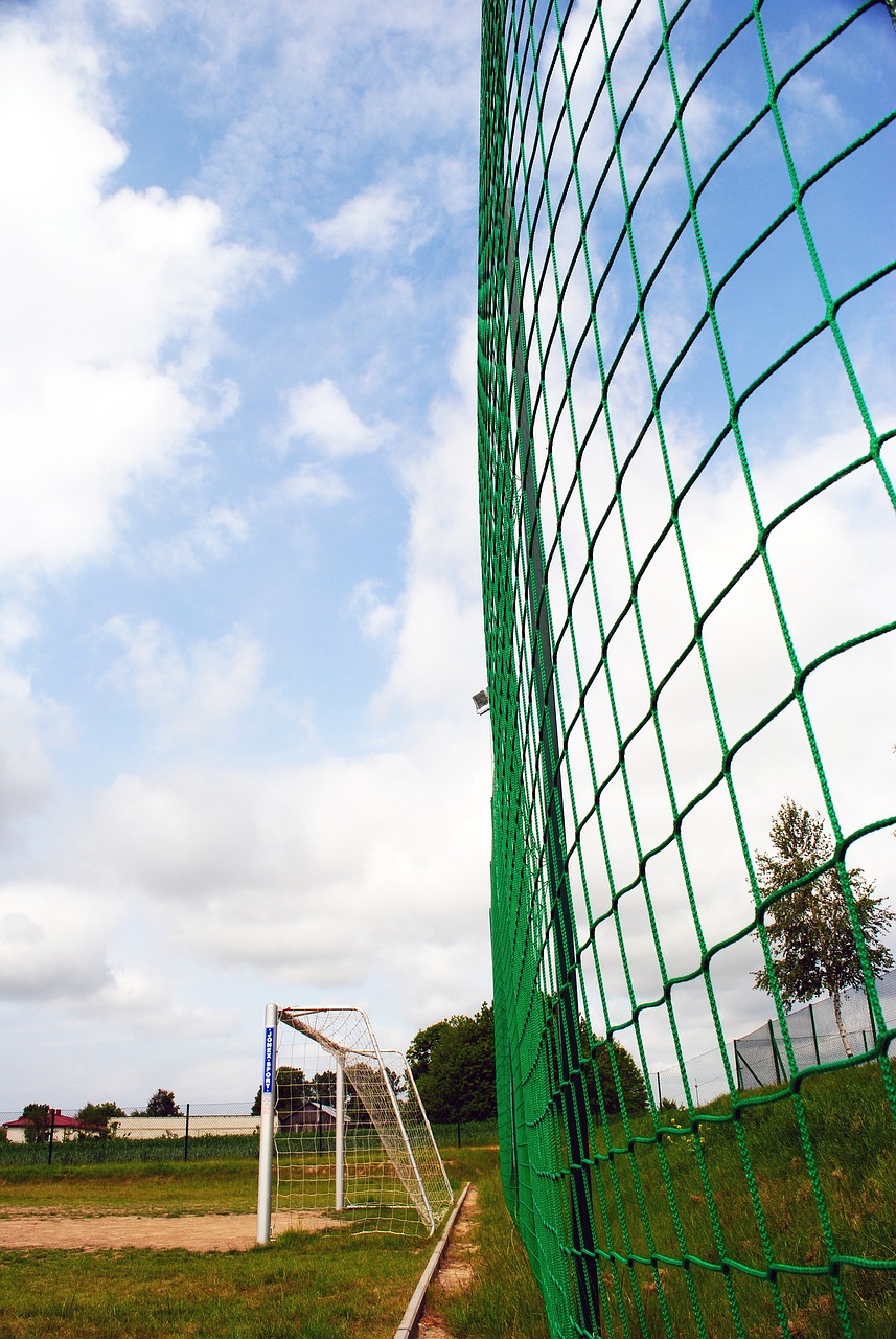 竞技水平和 竞技水平和