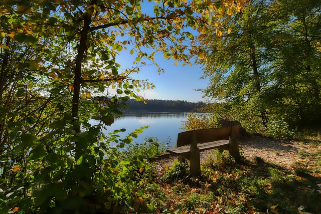 非同一般 非同一般