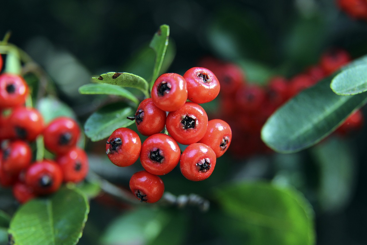 白热化阶段 白热化阶段